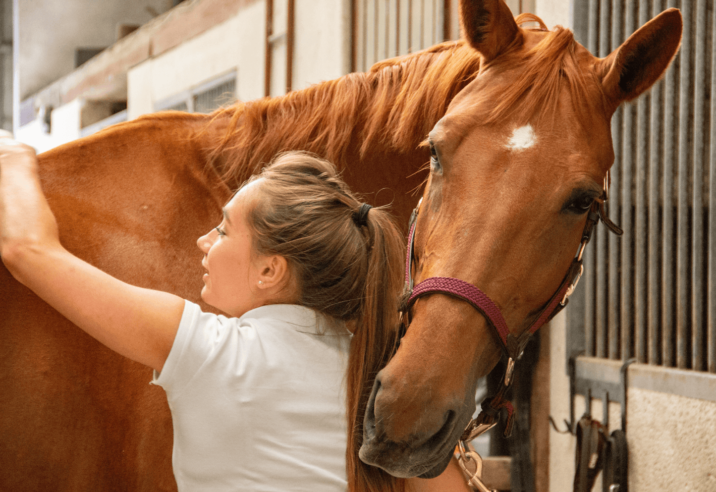 Emollivets studie av mugg och rasp