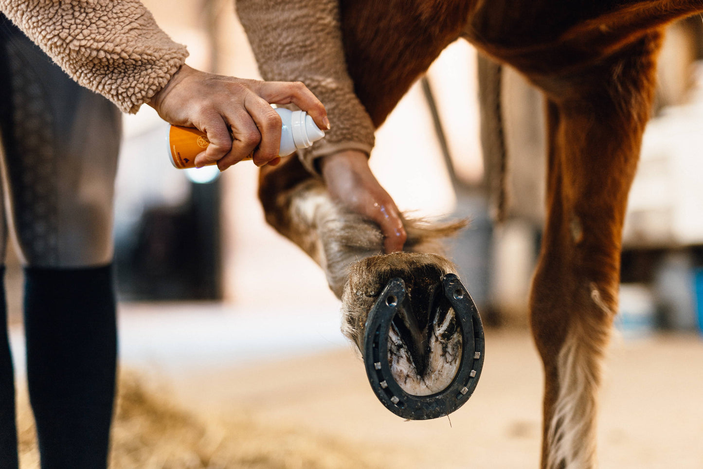 Emollivets husveterinär. Om mugg, rasp och skorv på hästar.