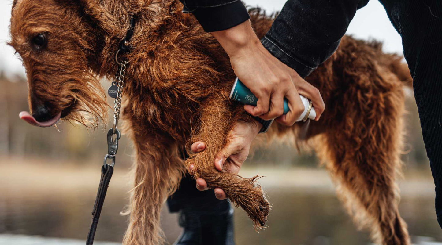 Emollivets husveterinär om ingredienserna i tassprayen PAW+