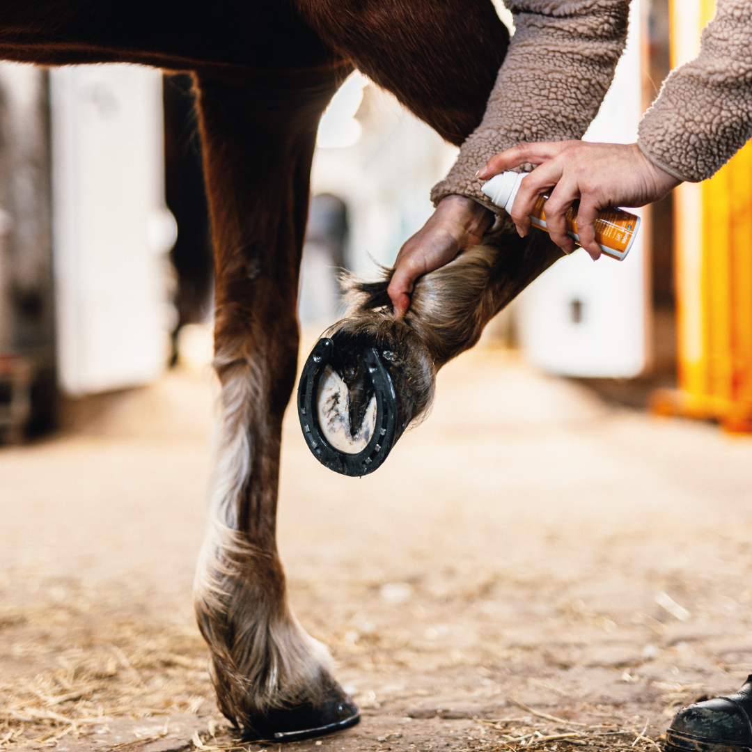 
                  
                    Emollivet COMBI - Spray för hästar med mugg, rasp och skorv
                  
                