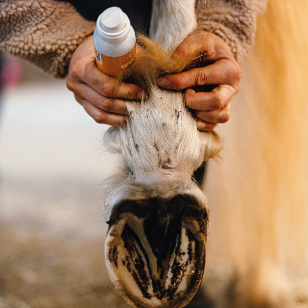 
                  
                    Emollivet COMBI - Spray for horses with EPD
                  
                