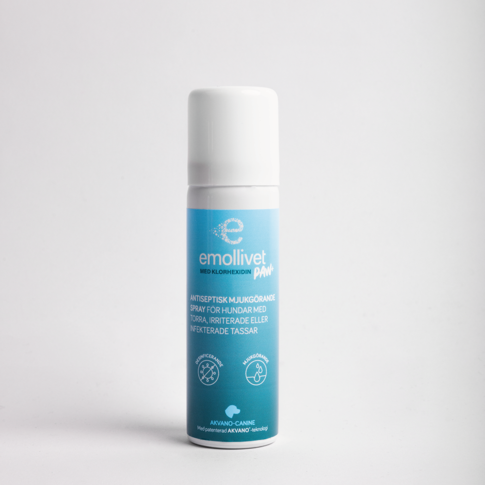 Disinfectant for dogs deals paws