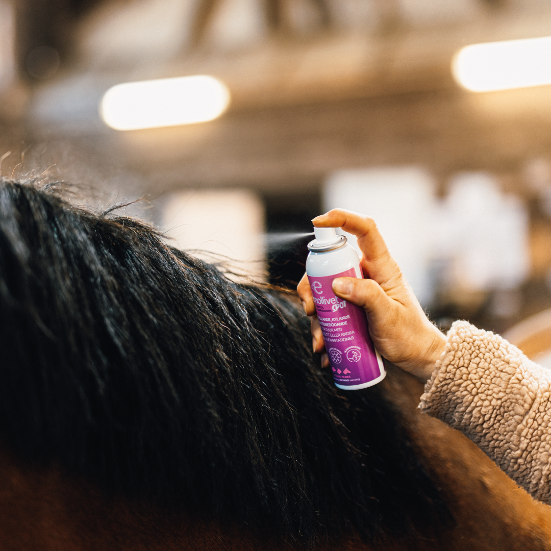 
                  
                    Emollivet SPOT - Klådstillande och bakteriedödande spray för häst och hund
                  
                