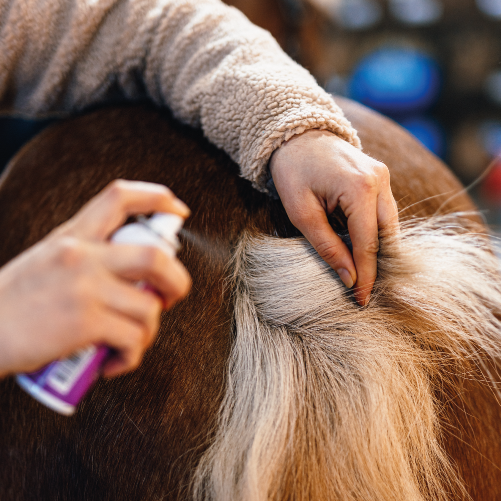 
                  
                    Emollivet SPOT - Spray för hästar och hundar med insektsbett eller andra lokala hudirritationer såsom hotspots
                  
                