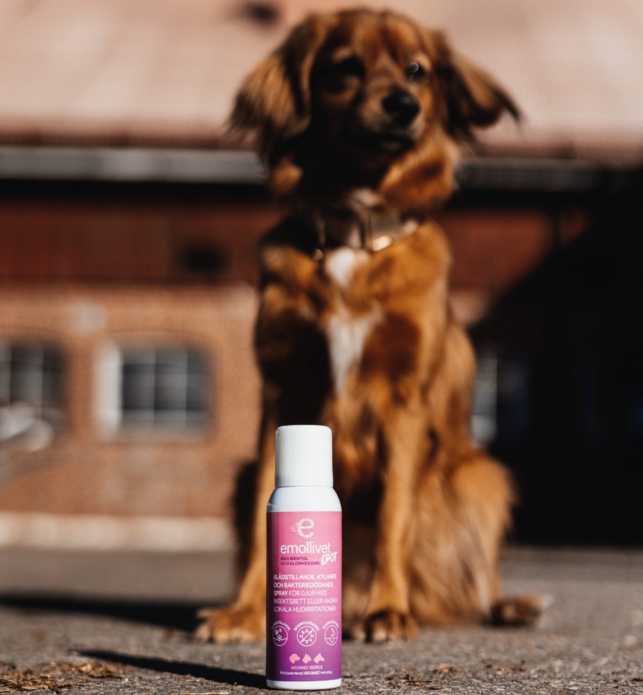 
                  
                    Emollivet SPOT - Spray for horses and dogs with insect bites or other local skin irritations such as hotspots
                  
                