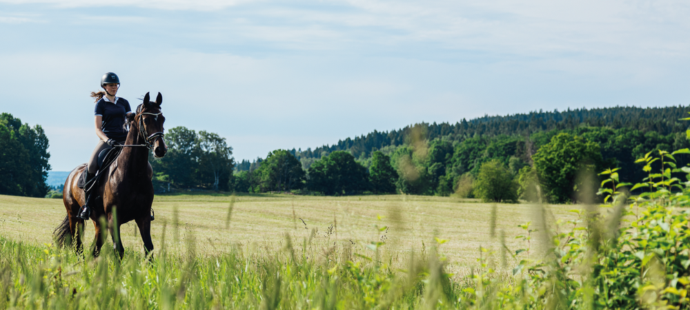 Emollivet