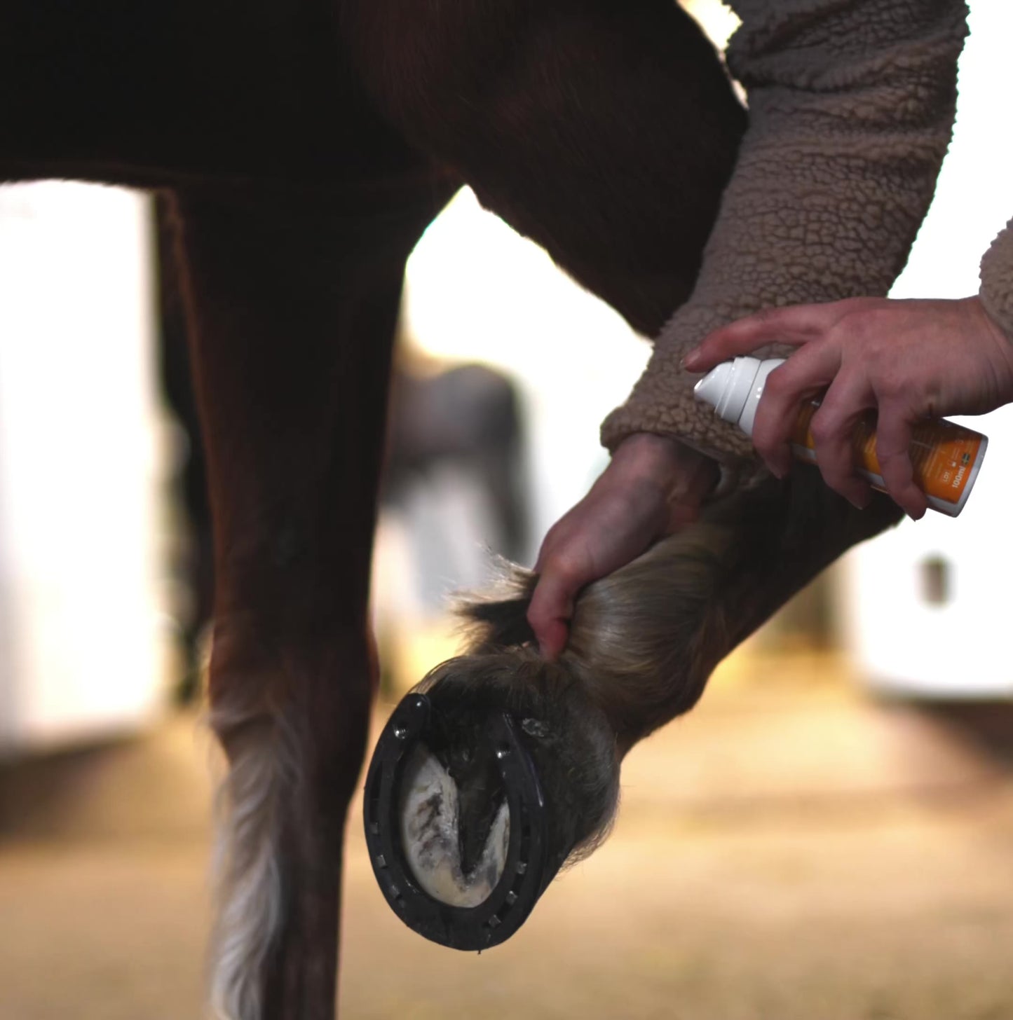 
                  
                    Ladda och spela upp video i Galleri Viewer, Emollivet COMBI - Spray för hästar med mugg, rasp och skorv
                  
                