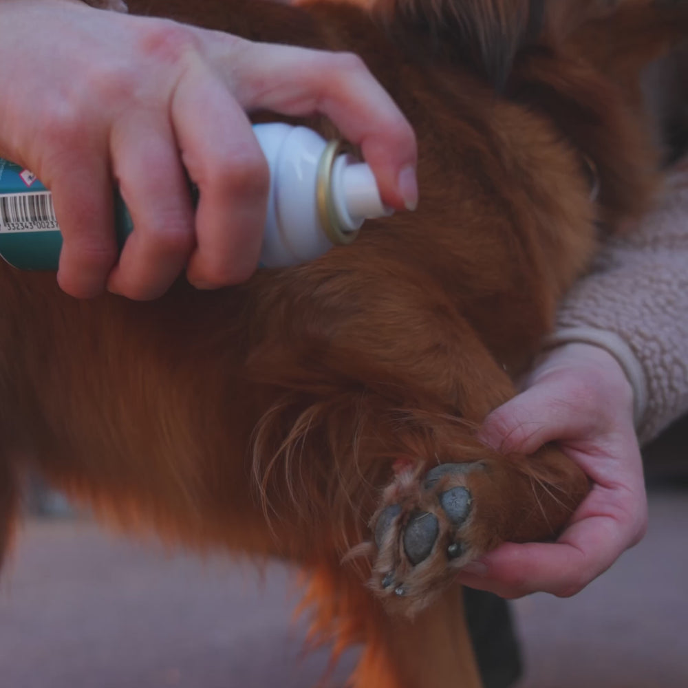 
                  
                    Load and play video in Gallery viewer, Emollivet PAW+ Spray for dogs with dry, irritated or infected paws
                  
                