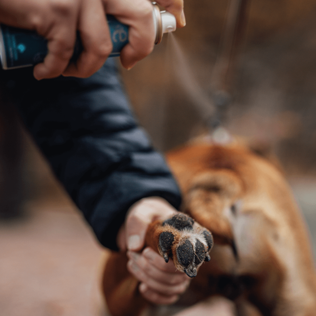 
                  
                    Emollivet PAW+ Antiseptisk mjukgörande spray för hundar med torra, irriterade eller infekterade tassar - Emollivet
                  
                