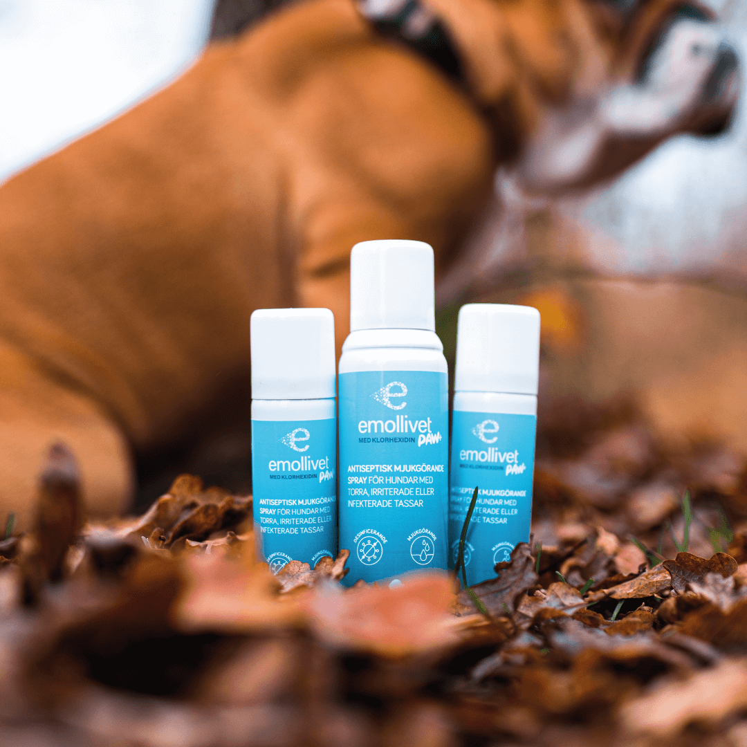 
                  
                    Emollivet PAW+ Antiseptisk mjukgörande spray för hundar med torra, irriterade eller infekterade tassar - Emollivet
                  
                