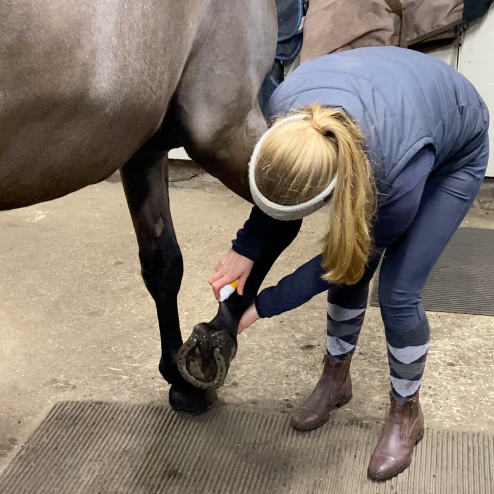 
                  
                    Emollivet COMBI - Antiseptisk mjukgörande spray för hästar med mugg, rasp och skorv - Emollivet
                  
                